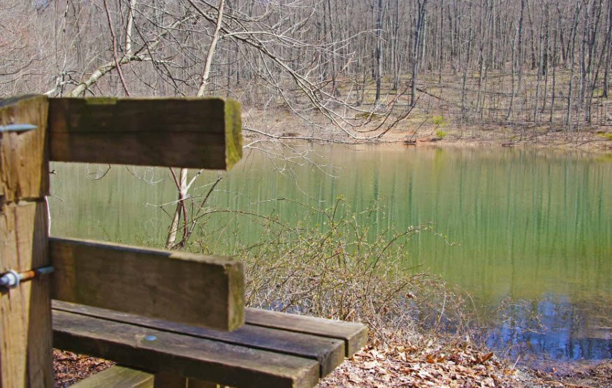 Boyd Big Tree Preserve Conservation Area, Pennsylvania, USA